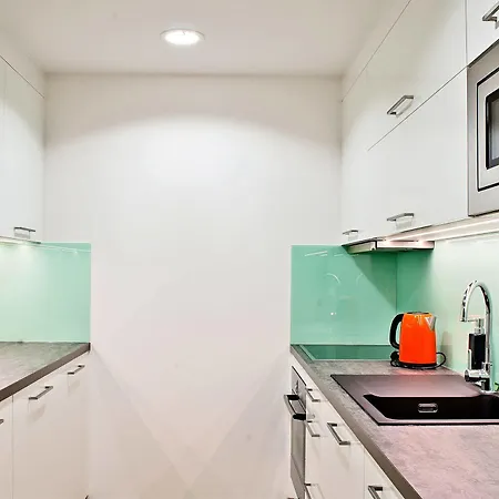 Wenceslas Square Terraces Apartment Prag